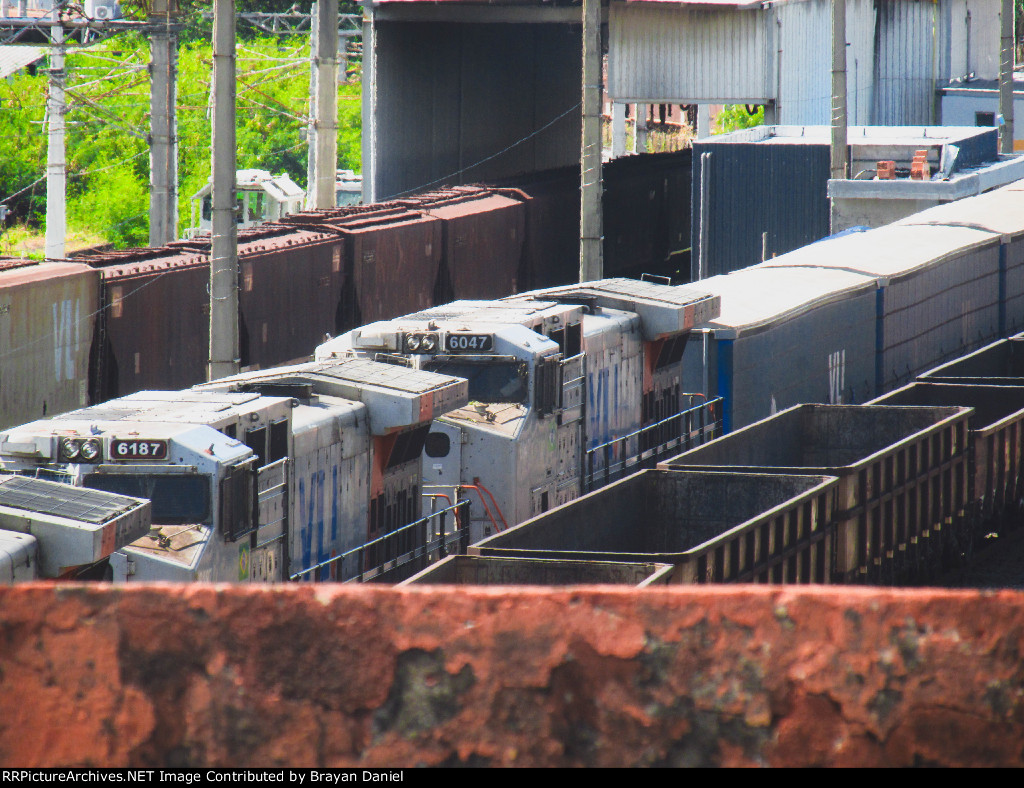 VLI 6047